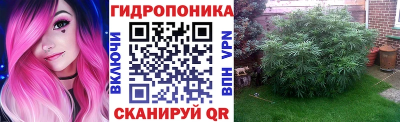 Бошки Шишки Bruce Banner  купить наркоту  Осташков 